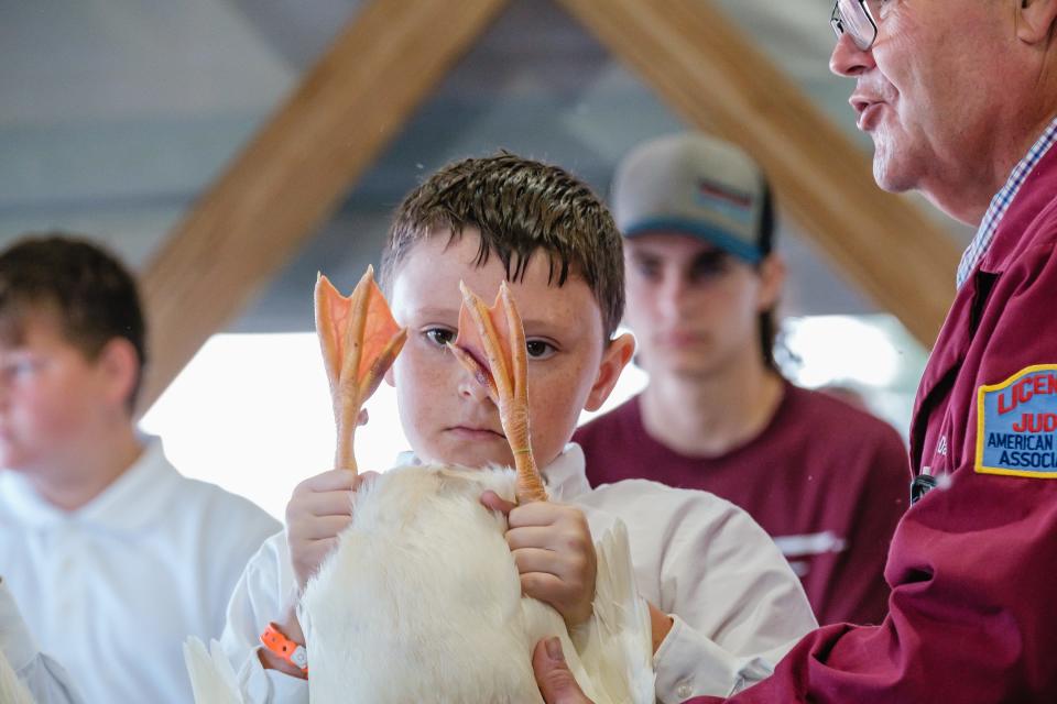 Sawyer Cronebaugh, 11 from Stone Creek, holds up his market duck for judging, Monday, Sept. 19 at the Tuscarawas County Fair in Dover.