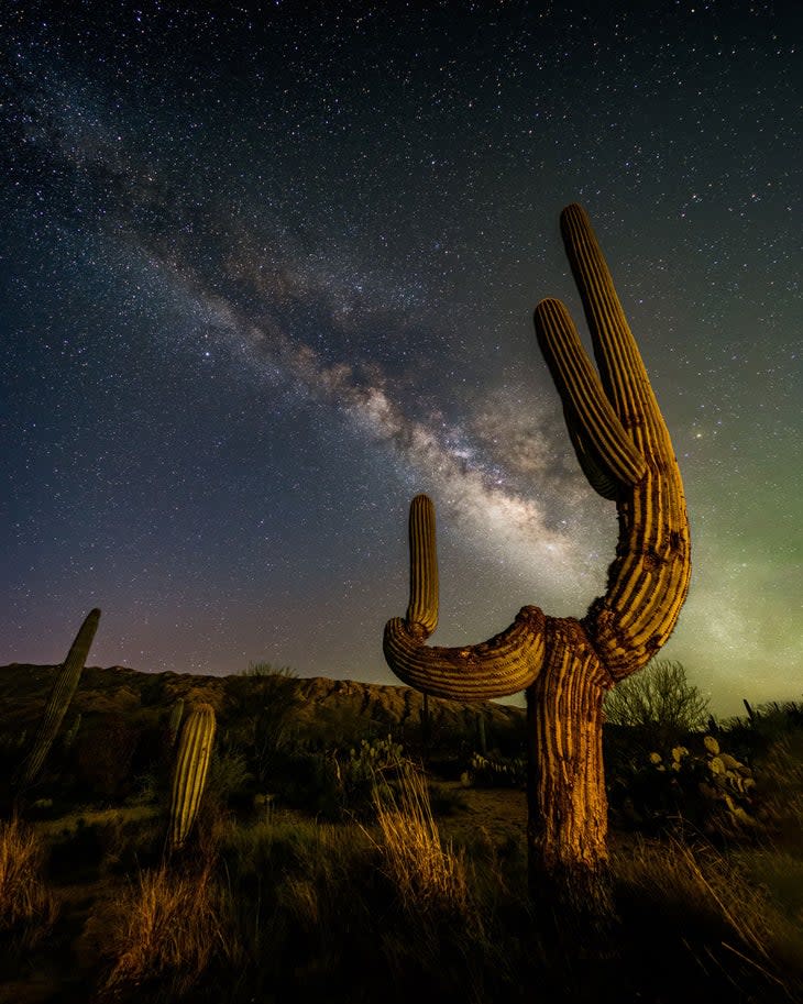 Milky Way over a saguaro cactus at Saguaro National Park East.