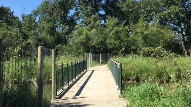 Inglewood Bird Sanctuary reopens after 2013 flood damage