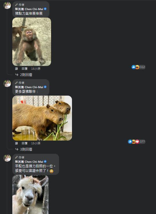 陳其邁秀出滿滿狒圖，邀請大家一起前往壽山動物園，感受夠狒的姿態。（圖／翻攝自陳其邁臉書）