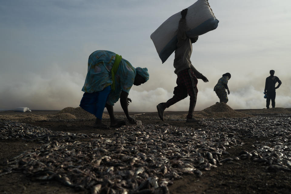 Ndeye Yacine Dieng, left, spreads the fish on the ground before processing it on Bargny beach, some 35 kilometers (22 miles) east of Dakar, Senegal, Wednesday April 21, 2021. Dieng's grandfather was a fisherman, her grandmother and mother fish processors. They baptized her with money from fish. They taught her the traditions and work of fish processing. (AP Photo/Leo Correa)