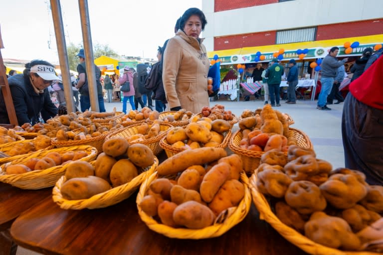 Distintas variedades de patatas, a la venta en un mercadillo en Huancayo, en la región peruana de Junín, el 30 de mayo de 2024 (Cris Bouroncle)