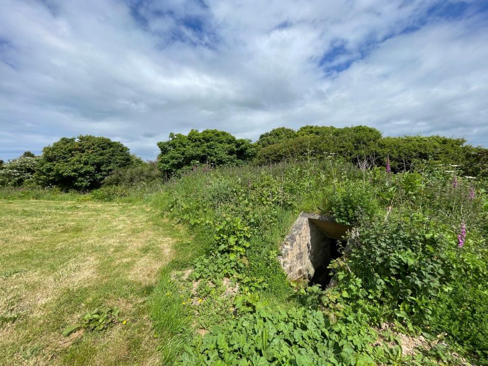 The entrance to the shelter is concealed in the paddock (Clive Pearce Property)