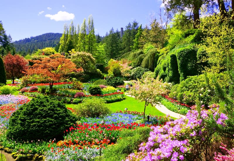 ▲萬紫千紅的布查花園，是全世界最美麗的花園之一！(圖/鳳凰旅遊)