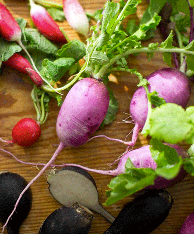 Heirloom radishes. Photo: Instagram