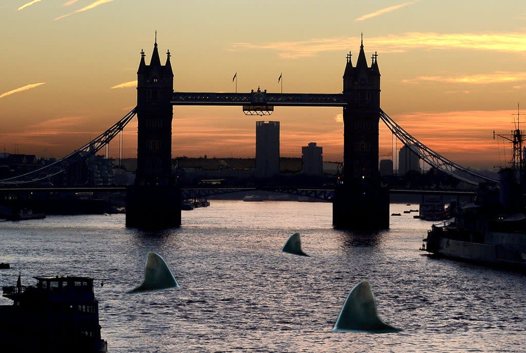 An illustration of sharks swimming through London  (Photo Illustration/Evening Standard)