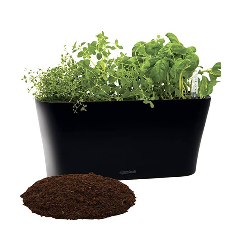 Aquaphoric Herb Garden Tub