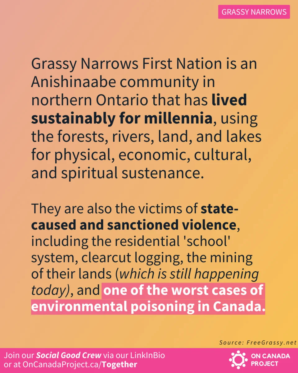 Grassy Narrows First Nation poisoning