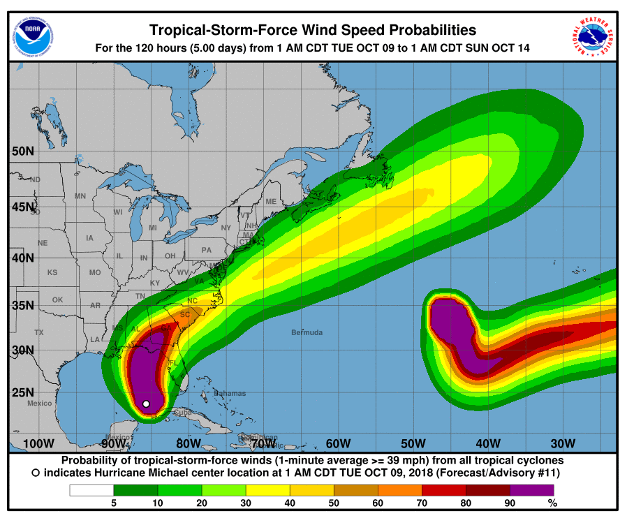 Trump warns Hurricane Michael is 'more intense' than Florence as storm barrels towards US