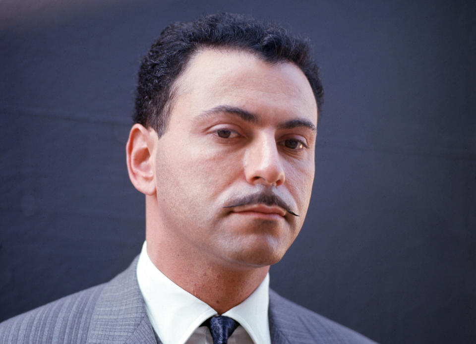 Alan Arkin Portrait (Icon and Image / Getty Images)