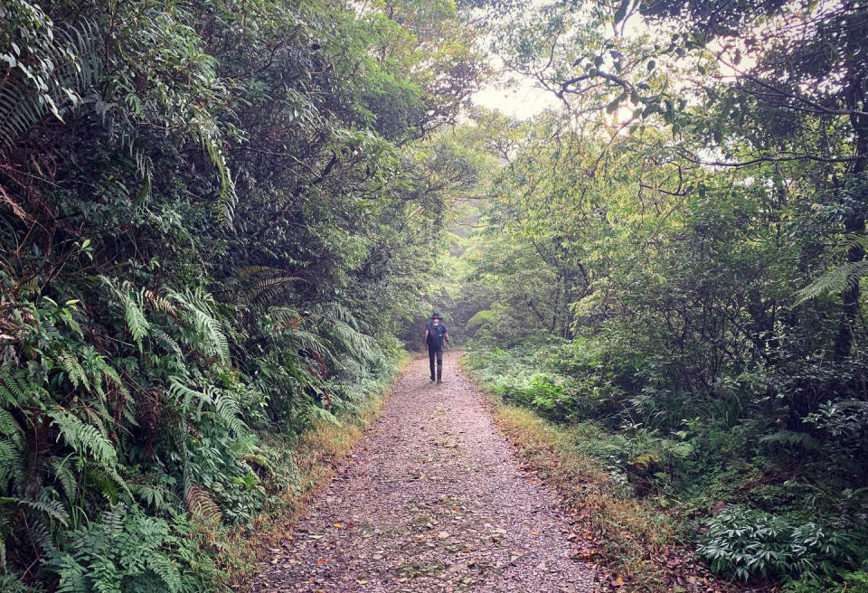 受瑪娃颱風影響，台東林管處緊急發布轄管浸水營國家步道等十步道及六林道暫時封閉。（記者鄭錦晴翻攝）