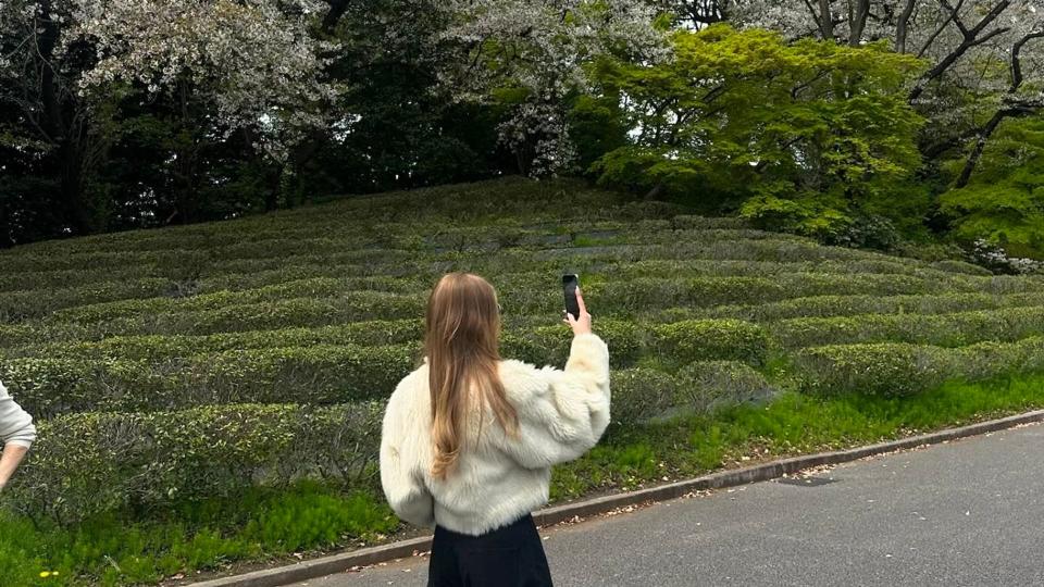 Rosie Huntington Whiteley wears black trousers and a fluffy coat to snap pictures of blossoming cherry trees