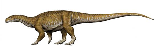 Artist's illustration of the newfound dinosaur.