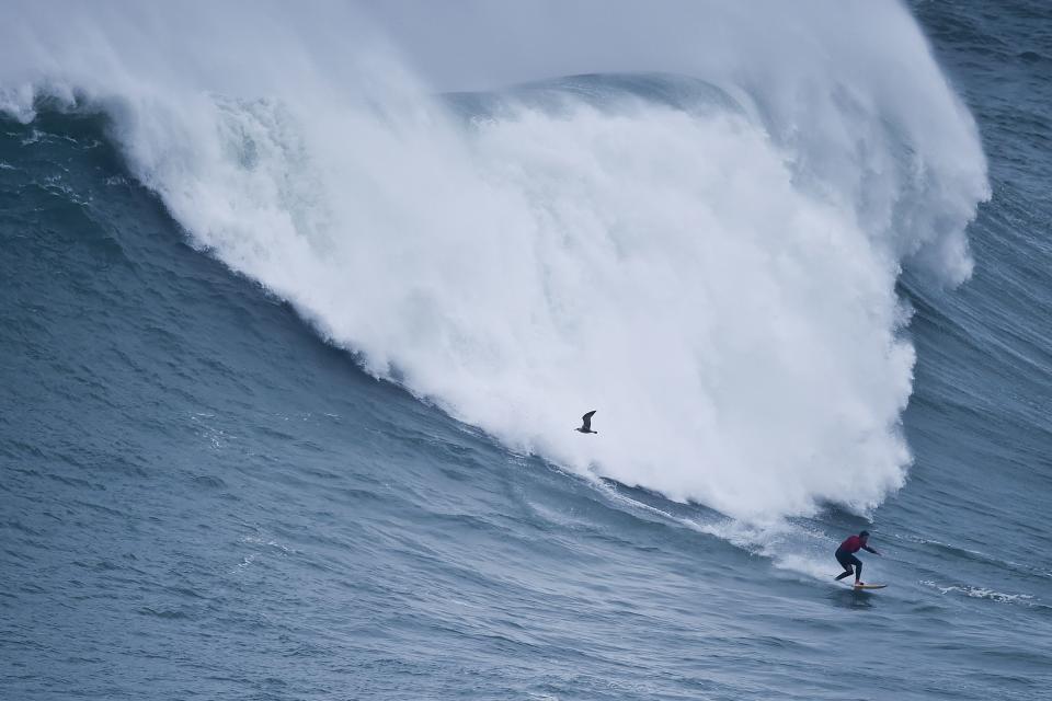 (PATRICIA DE MELO MOREIRA/AFP via Getty Images)