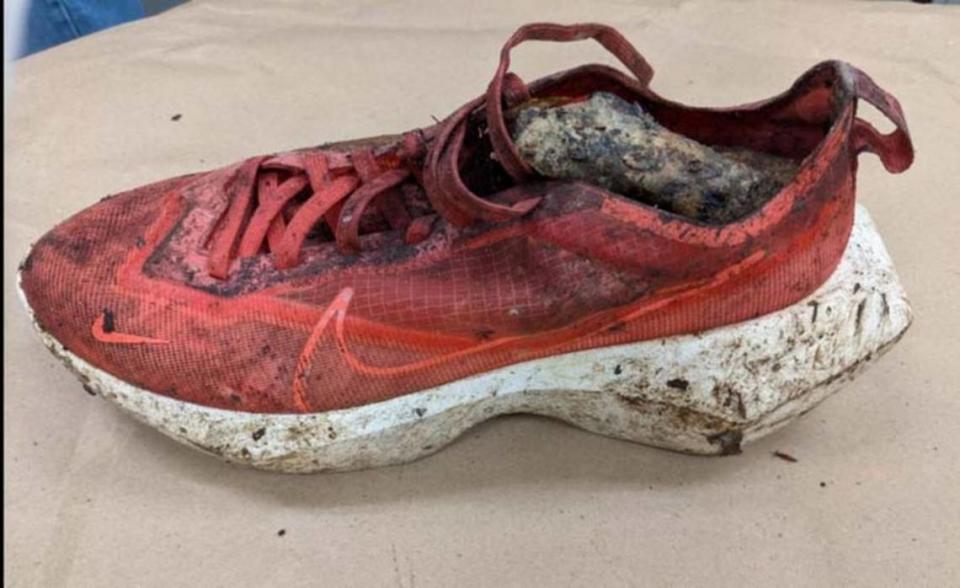 The FBI is investigating after hikers at Catoctin Mountain Park in Maryland found a woman’s foot and red Nike shoes.