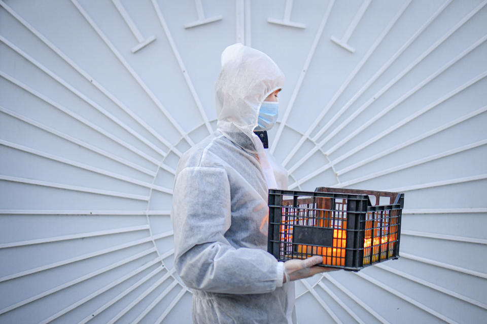 A volunteer carries a box of lit candles as he distributes Holy Light in Bucharest, Romania, Saturday, April 18, 2020. Priests accompanied by volunteers distributed the candles ahead of the usual time, at midnight, as people observed the ban on gatherings in the week leading to the Orthodox Easter, as authorities try to limit the spread of the COVID-19 coronavirus. (AP Photo/Andreea Alexandru)