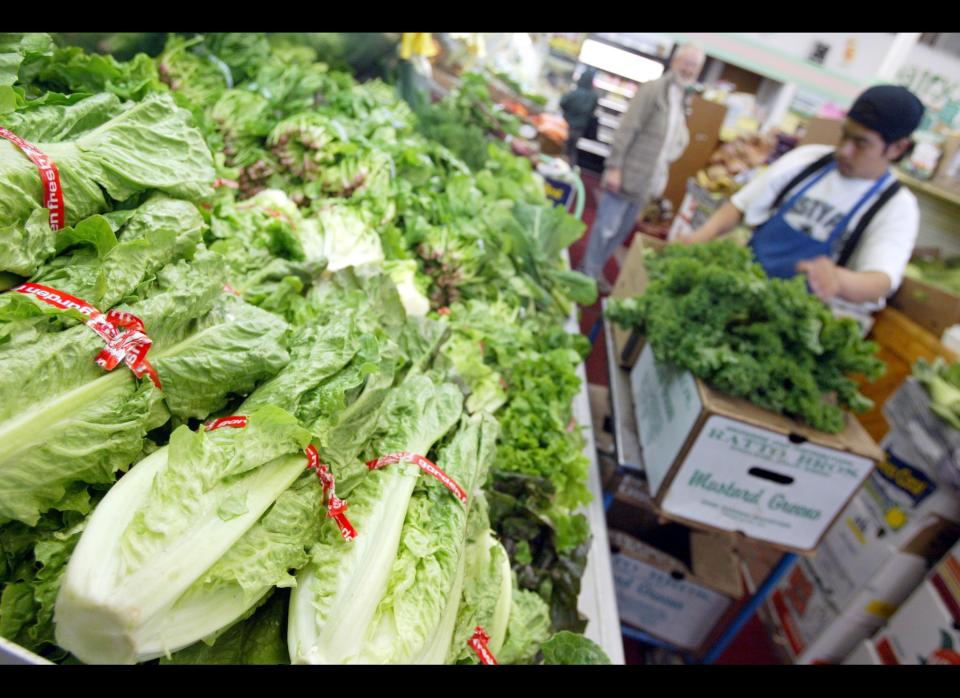 In May 2010, two food companies in Ohio and Oklahoma <a href="http://www.fda.gov/newsevents/newsroom/PressAnnouncements/ucm211145.htm" target="_hplink">recalled</a> their romaine lettuce after the FDA discovered possible traces of E. Coli bacteria. The lettuce, which shipped to 23 states, was tied to a possible E. Coli outbreak. People were sickened in New York, Ohio and Michigan with E. Coli O145-related illnesses. 