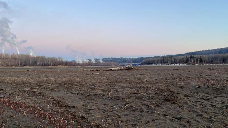 In Prince George, B.C., where the Nechako and Fraser Rivers meet, the sandy riverbed has been bare for months due to persistent drought conditions. 