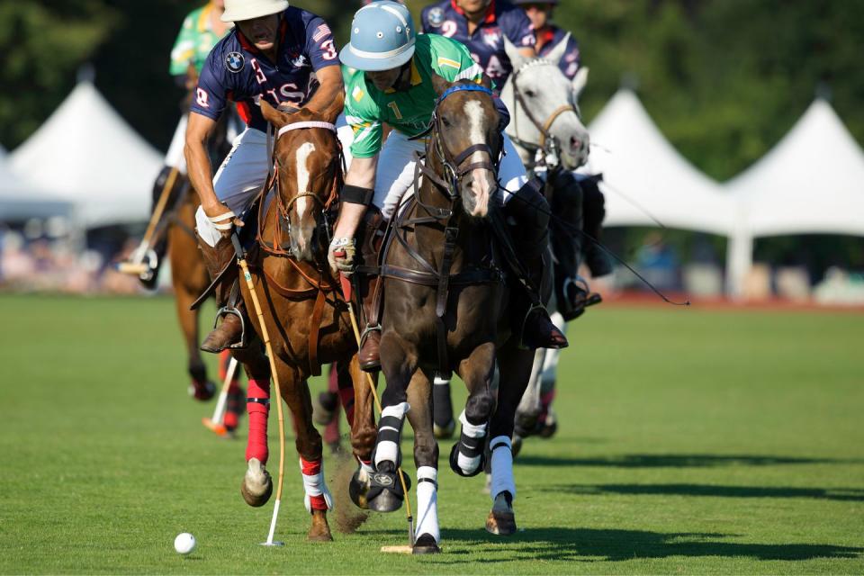 Stomp the divots at a polo match.