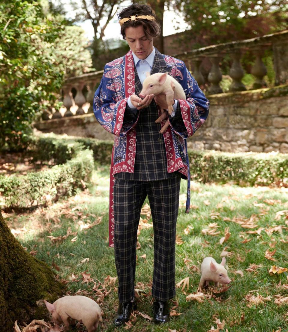 Harry is seen feeding three little pigs (Gucci/ Glen Luchford)