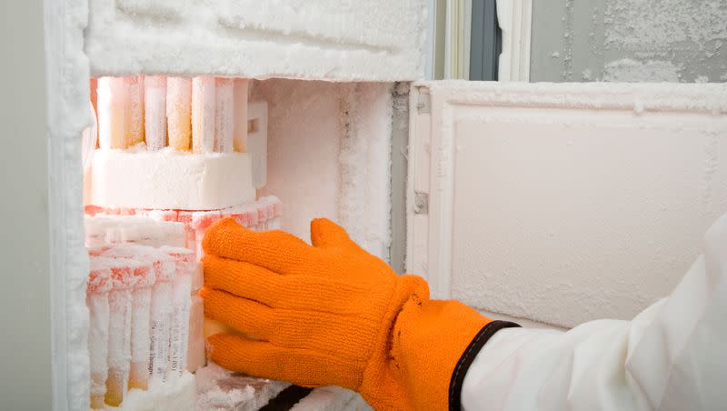 A janitor turned off a freezer in a Rensselaer Polytechnic Institute laboratory, causing the loss of decades of research samples.