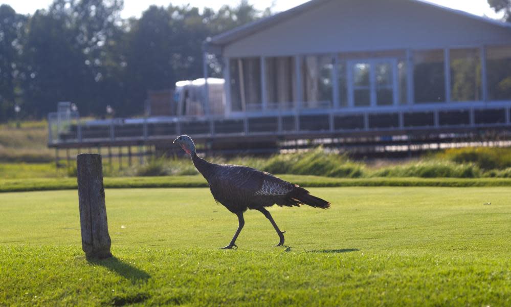 <span>Photograph: Mark Hoffman/AP</span>