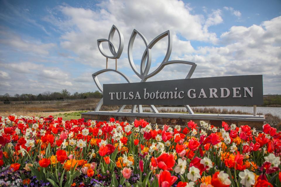 Tulsa Botanic Blooms at the Tulsa Botanic Garden has 150,000 tulips, daffodils, hyacinths and other spring bulbs.