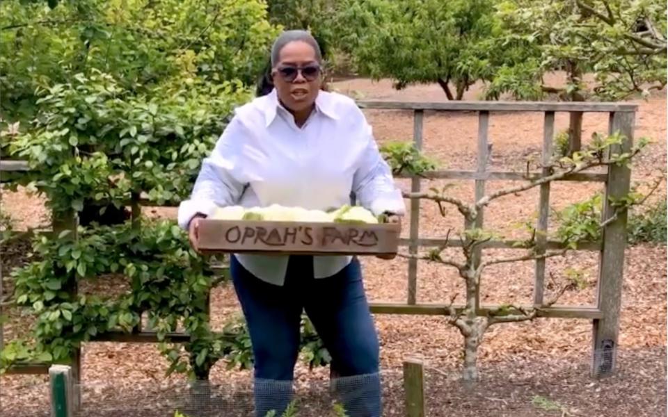 American presenter Oprah on her farm in Hawaii