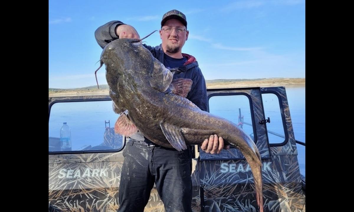 Angler lands 'gigantic' flathead catfish, shatters 16-year-old