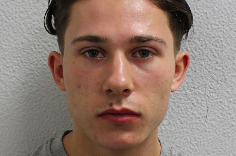 James Biscoe pleaded guilty to causing death by dangerous driving, dangerous driving, driving over the alcohol limit, and failing to stop at the scene of a crash. (Reach)