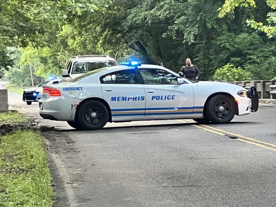 Police presence on West Levi after a juvenile was struck by a vehicle.