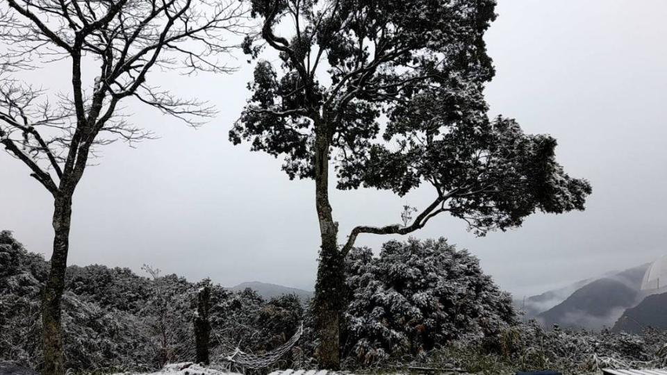 烏來967高地也降雪了。（圖／民眾提供）