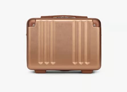 CALPAK Ambeur Vanity Case