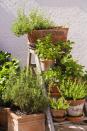 <p>If you have a wooden ladder that you no longer need, dress it up with a garden bed and an arrangement of potted plants. It's an eye-catching arrangement for those who appreciate rustic-inspired looks.</p>