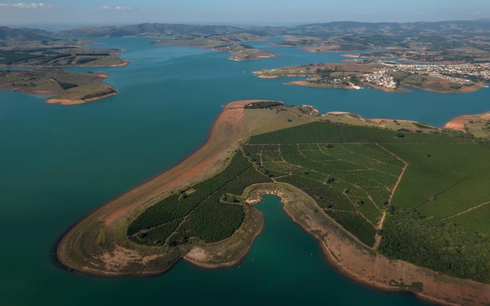 A coffee plantation on the dry banks of the Rio Grande river during a drought near Guape, Minas Gerais state, Brazil, on Tuesday, June 29, 2021 - Jonne Roriz/Bloomberg