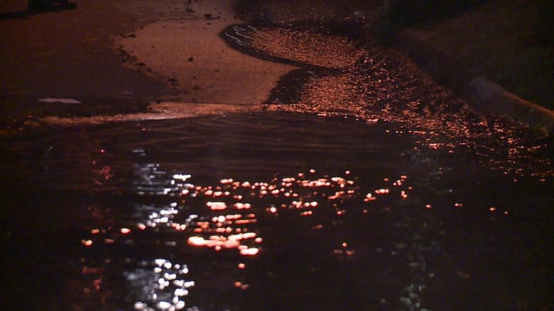 North Vancouver neighbourhood flooded after pipes burst