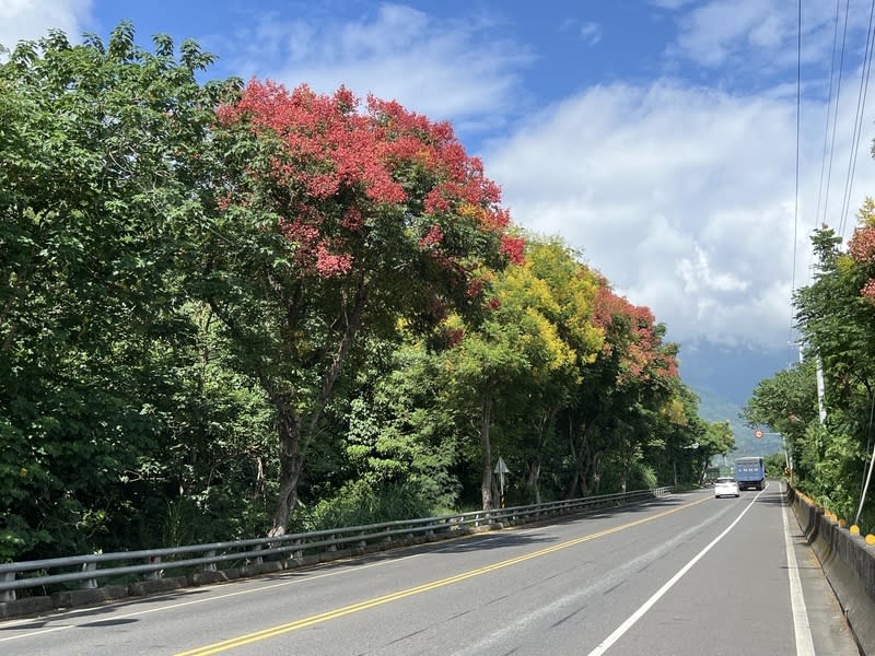 轉角遇見美景  台灣欒樹捎來秋天訊息 秋花盛開，台東山區、公路旁的台灣欒樹爭相綻放， 這波美景將持續至10月中旬過後。 中央社記者盧太城台東攝  113年9月26日 