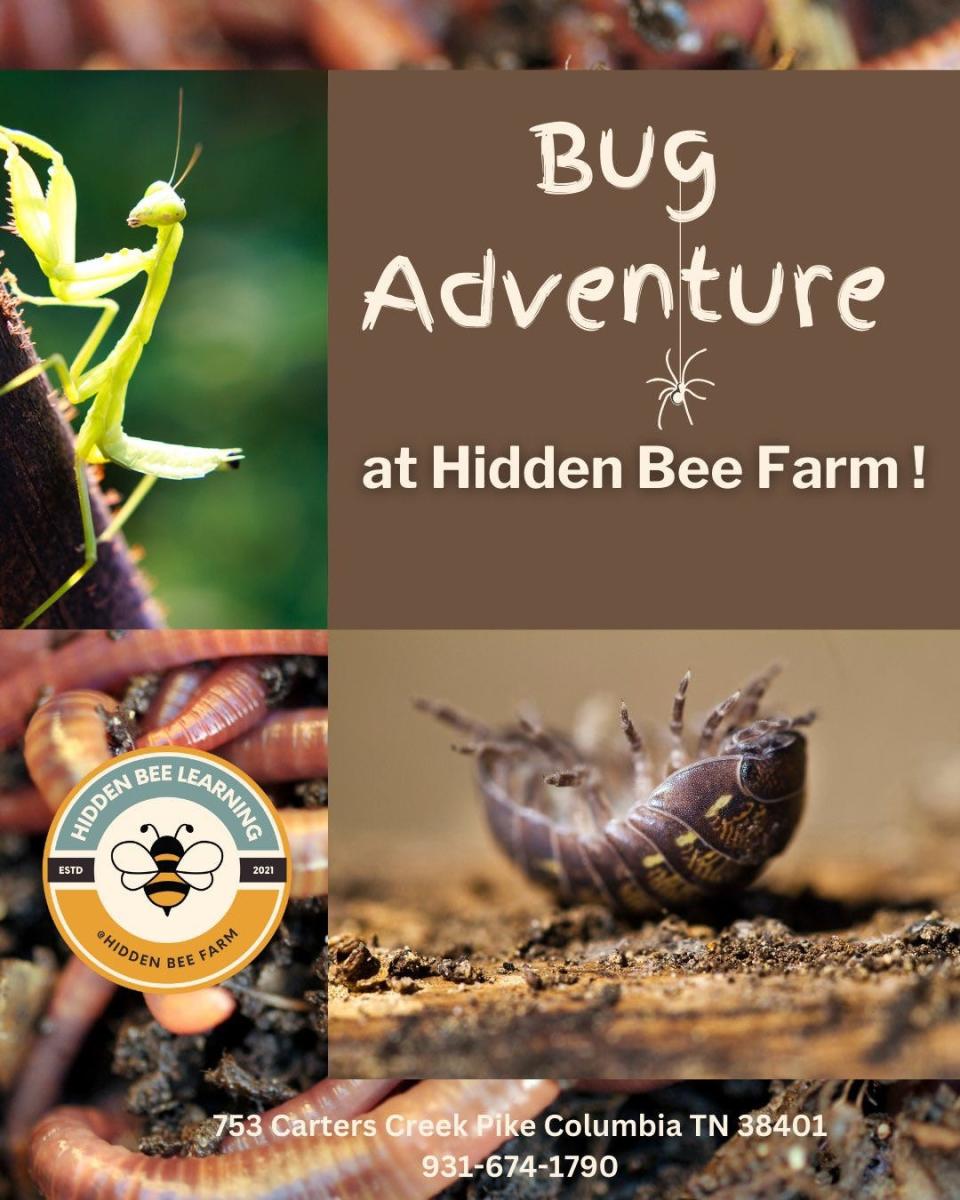 Honey Bee Animal Rescue invites guests to go on a Bug Adventure this weekend, interacting with live insects, worms and more, while also learning about their roles in nature, as well as our daily lives.