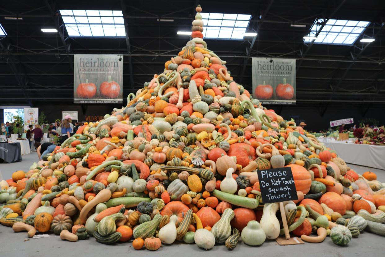 A tower built from heirloom squash and pumpkins at the 2018 National Heirloom Exposition in Sonoma. The annual event will come to the Ventura County Fairgrounds on Sept. 12-14.