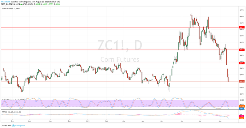 Futures of Corn Daily price August 15