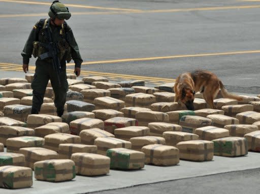 A Colombian policeman from an anti-drug unit walks with a sniffer dog amidst marijuana packages on display for the press in August 2012, in Tulua, Colombia. Four tons of marijuana "red dot" type allegedly belonging to the Sixth Front of the Revolutionary Armed Forces of Colombia (FARC) were seized while being transported