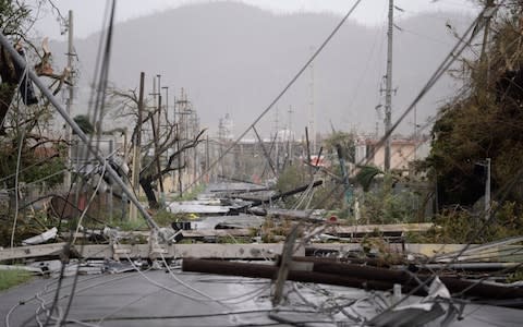 Electricity poles and lines lay toppled on the road after Hurricane Maria hit the eastern region of the island, in Humacao, Puerto Rico - Credit: AP Photo/Carlos Giusti