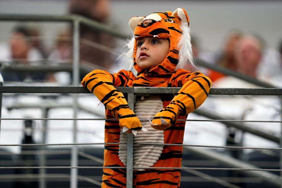 Are you thinking about dressing up as a Bengal tiger for Halloween? Check out this young fan's costume.