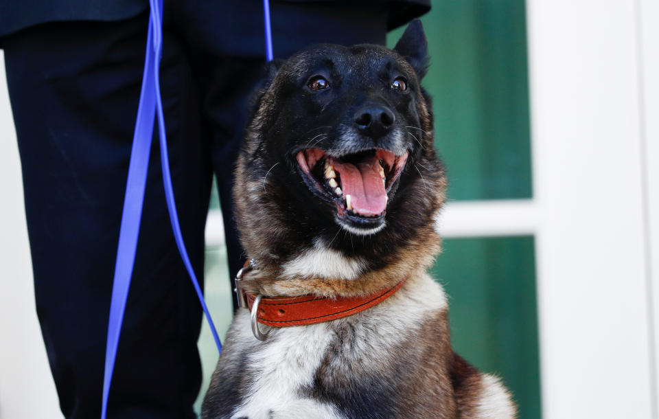 President Trump said no unarmed man would be able to overcome Conan, calling the dog a "tough cookie." (Photo: Tom Brenner / Reuters)
