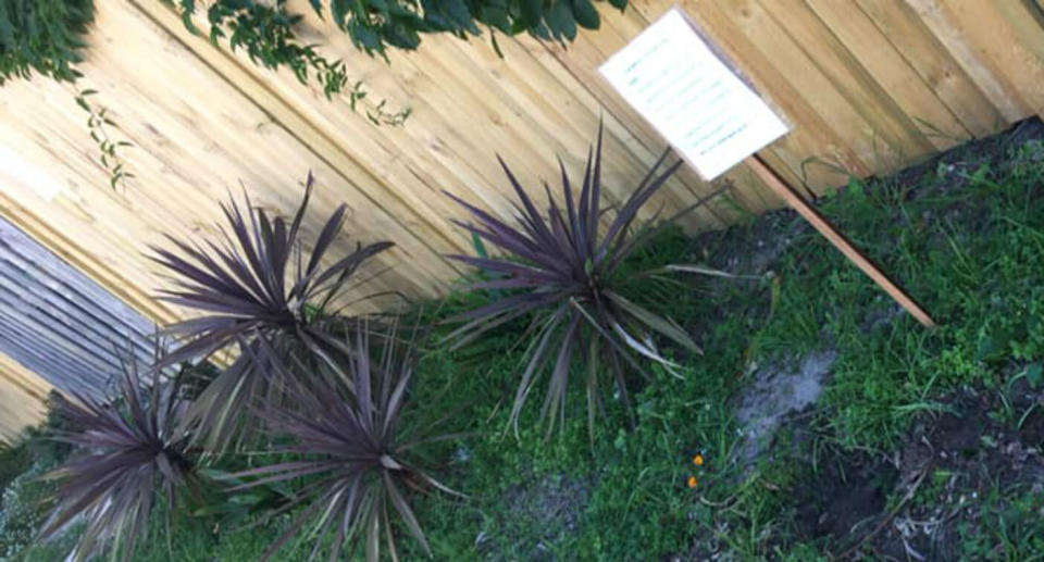 A Sydney woman has put up a sign in Bondi asking a plant thief to stop stealing.