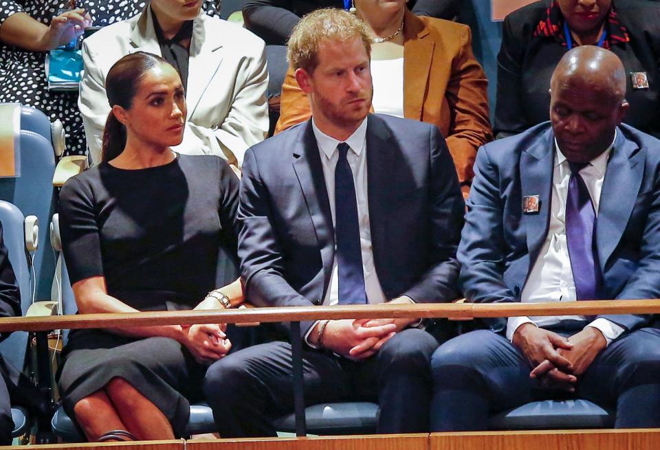 Prince Harry and Meghan Markle