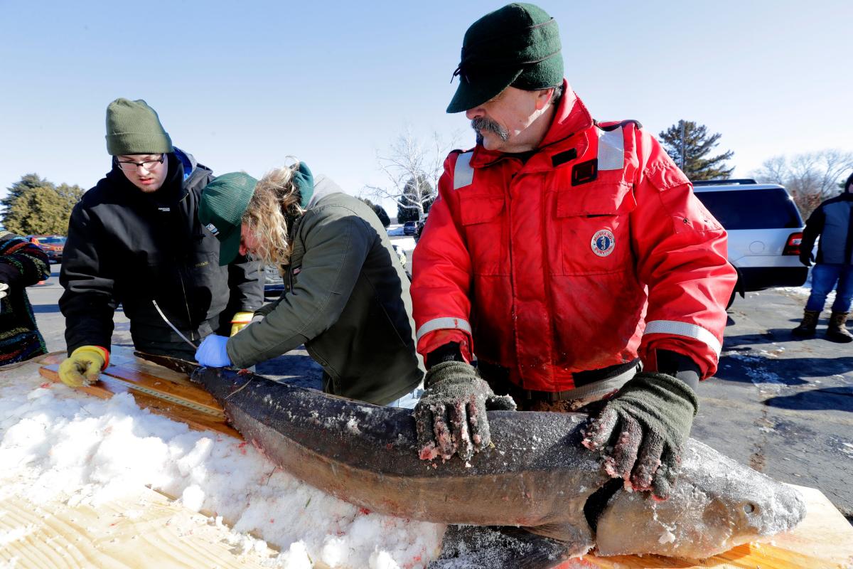 Get ready for sturgeon spearing season, and more news in the latest