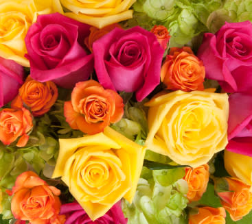 El color de las rosas que regalas dice mucho. A continuación te contamos qué significa cada uno de ellos para que obsequies la más ad-hoc de acuerdo a la persona y la ocasión.