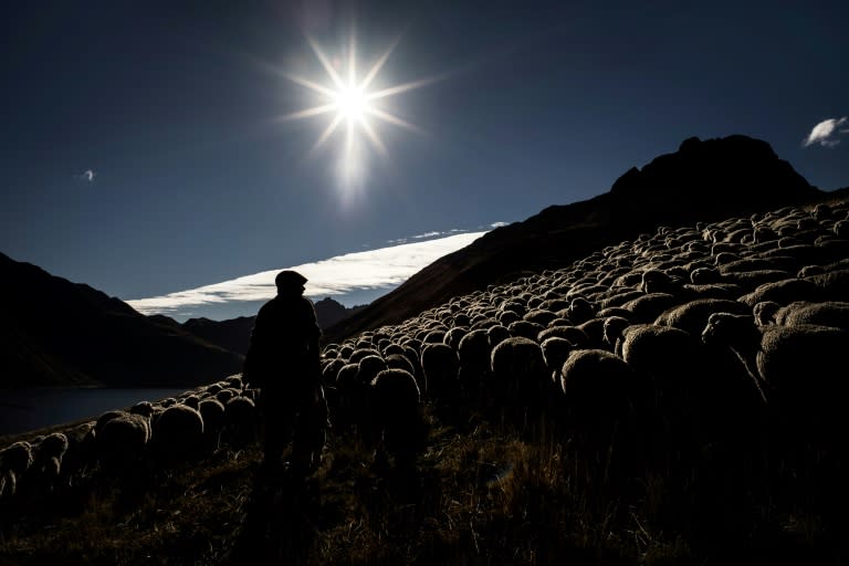 The solitary life of a shepherd still attracts plenty of youngsters but few stay on beyond a couple of seasons