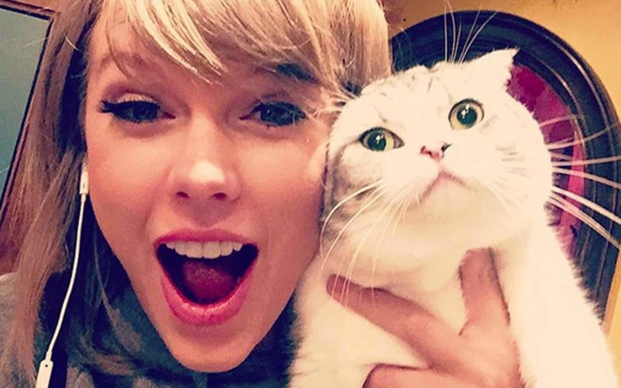 Taylor Swift regularly shares pictures online with her pet cats. - SUPPLIED BY XPOSUREPHOTOS.COM
